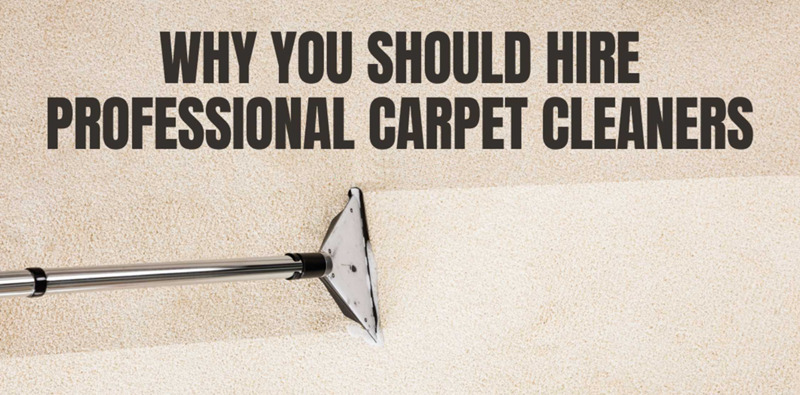 Macomb County Carpet Cleaners